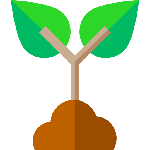 sprout