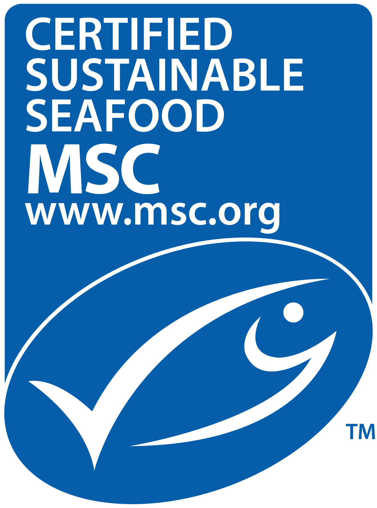MSC-C-53312