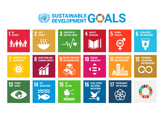 SDG's