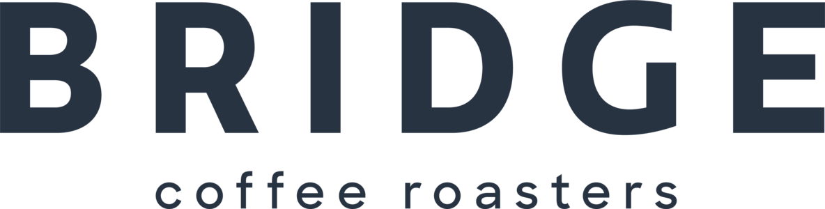 Bridge logo