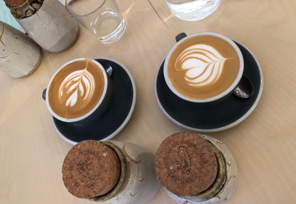cup north tour