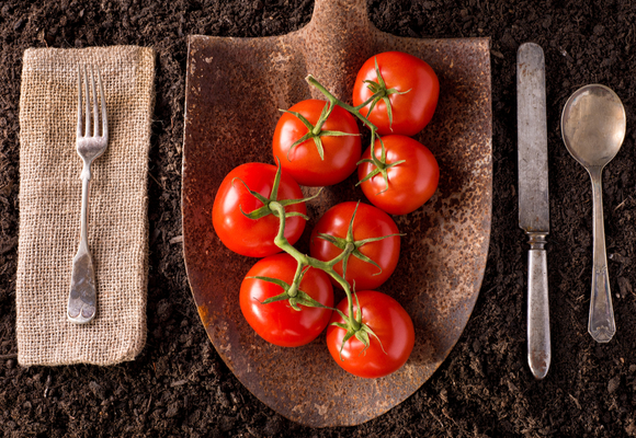 farmtofork