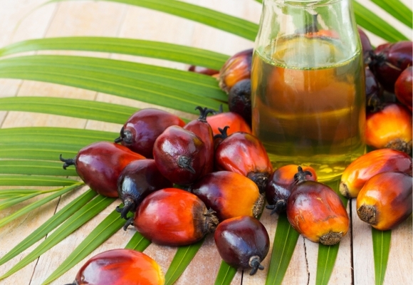palm oil