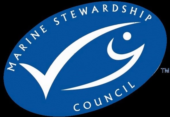 msc