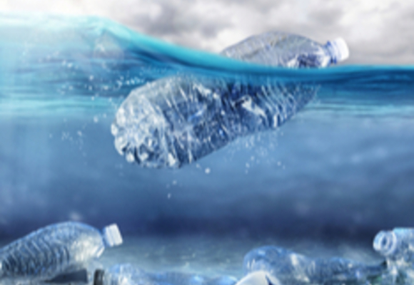 plastic bottle