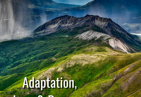 adaptation cop26