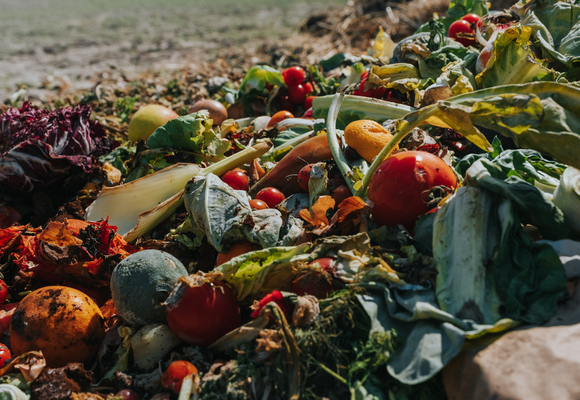 Food waste